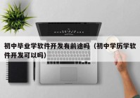 初中毕业学软件开发有前途吗（初中学历学软件开发可以吗）