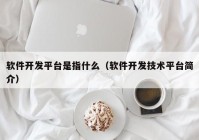 软件开发平台是指什么（软件开发技术平台简介）