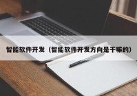 智能软件开发（智能软件开发方向是干嘛的）