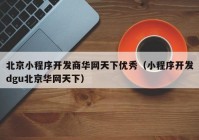 北京小程序开发商华网天下优秀（小程序开发dgu北京华网天下）