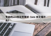 专业的seo优化效果好（seo 优化是什么）