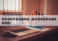 自学软件开发从哪开始（自学软件开发从哪开始学的）