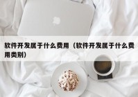 软件开发属于什么费用（软件开发属于什么费用类别）